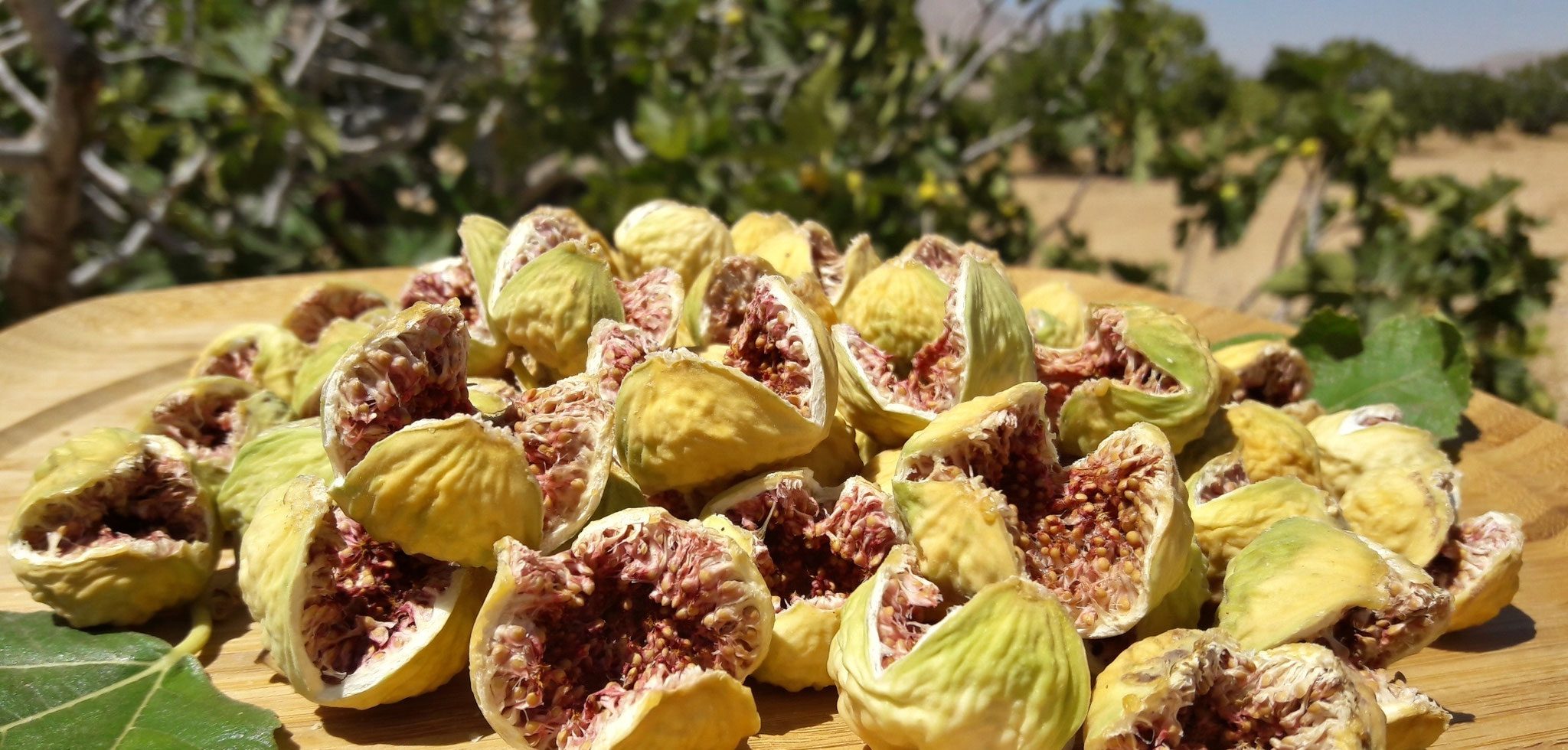 Benefits of Dried Figs